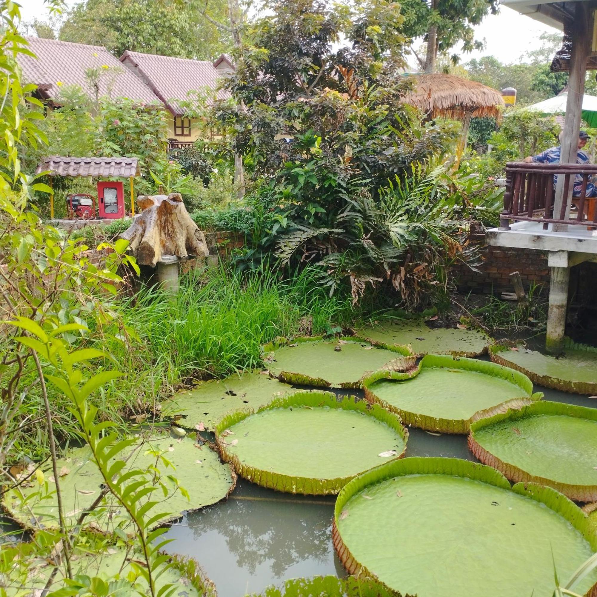 Brown House Resort Кантхо Экстерьер фото